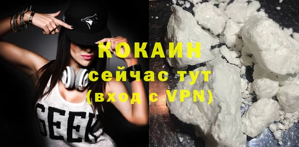 ECSTASY Богданович