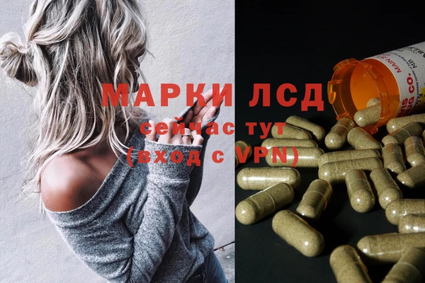 ECSTASY Богданович