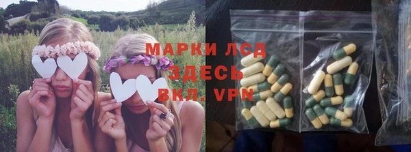 мяу мяу мука Белокуриха