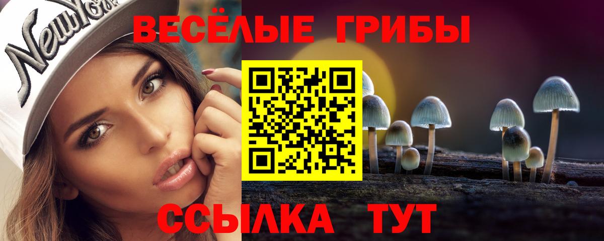 Псилоцибиновые грибы Psilocybe  Псилоцибиновые грибы мицелий  Вход с VPN  Волжск 